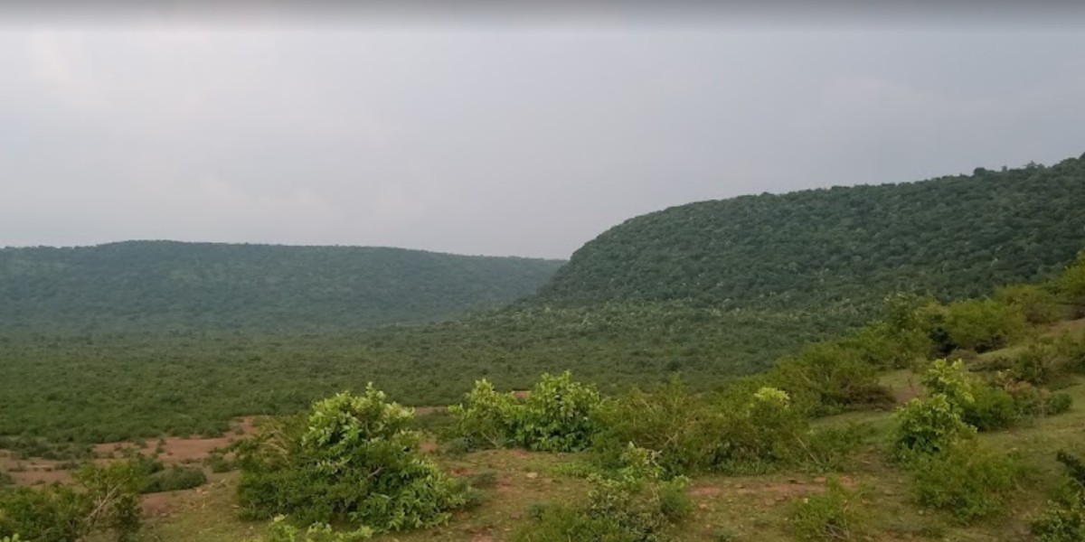 kunwarpur-village-in-simariya-panna-india
