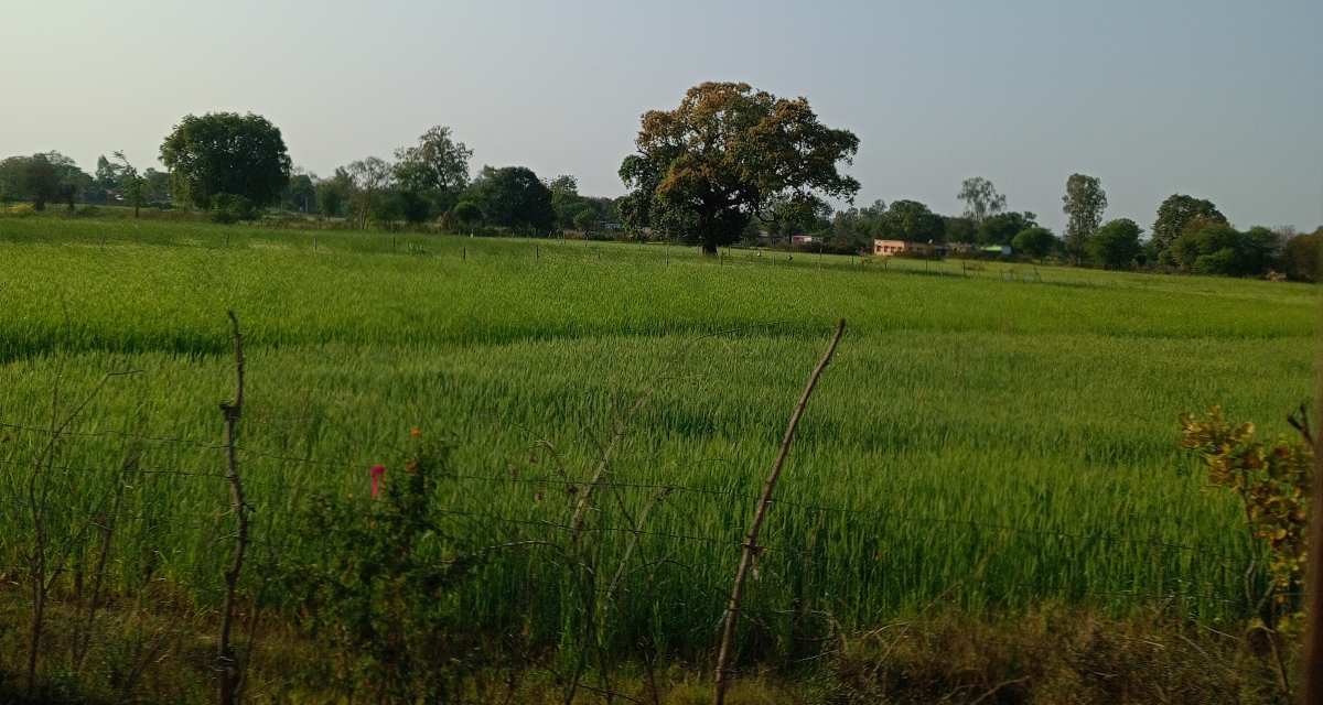 itwan-kalan-village-in-panna