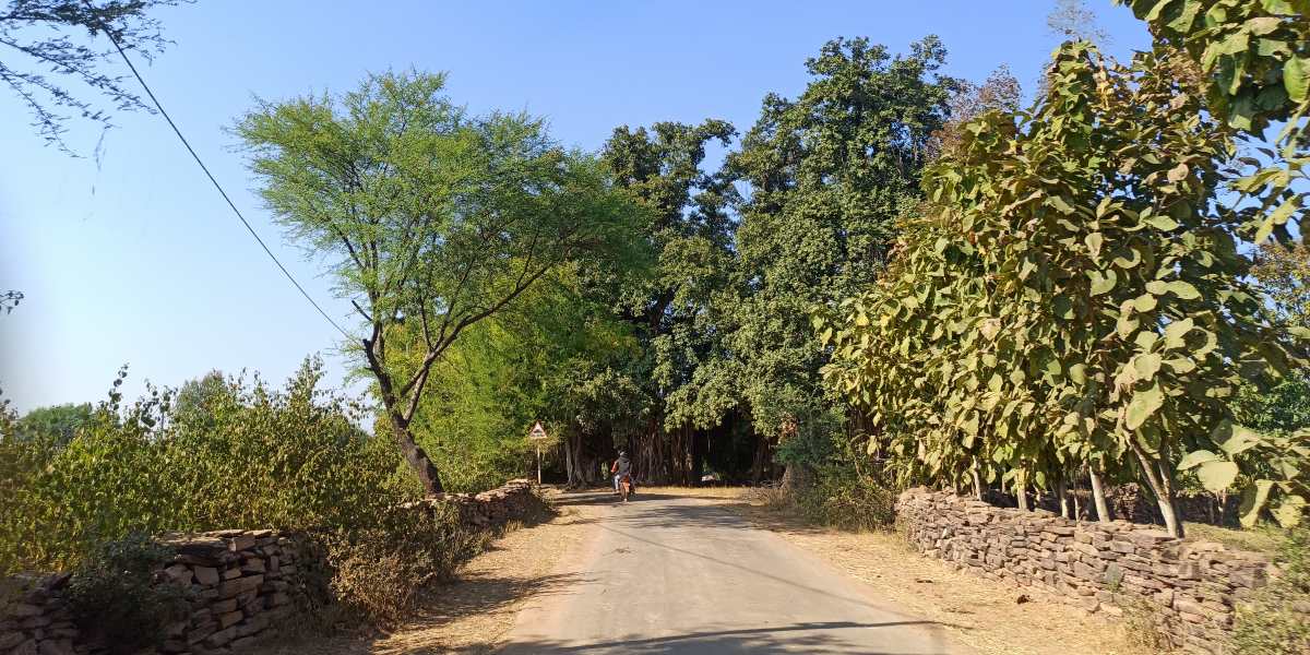 deora-kalan-village-in-shahnagar-panna