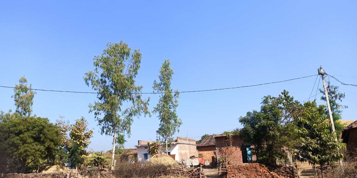 dhauwapura-village-in-shahnagar