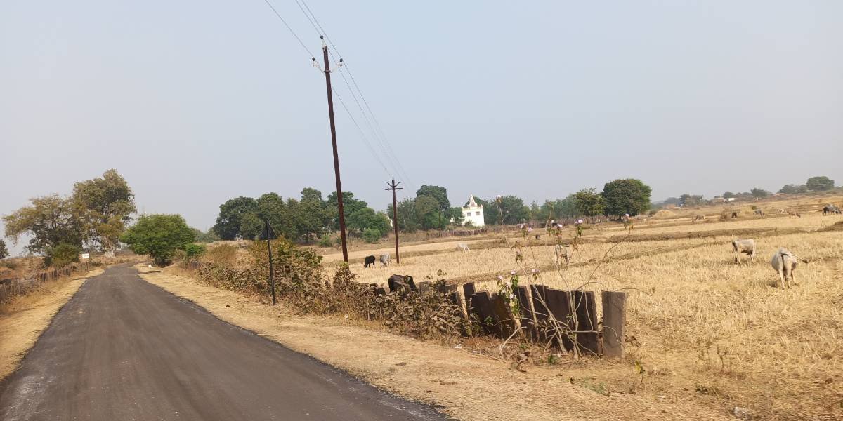 bisani-village-in-shahnagar