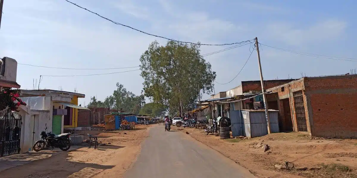 bori-village-in-shahnagar